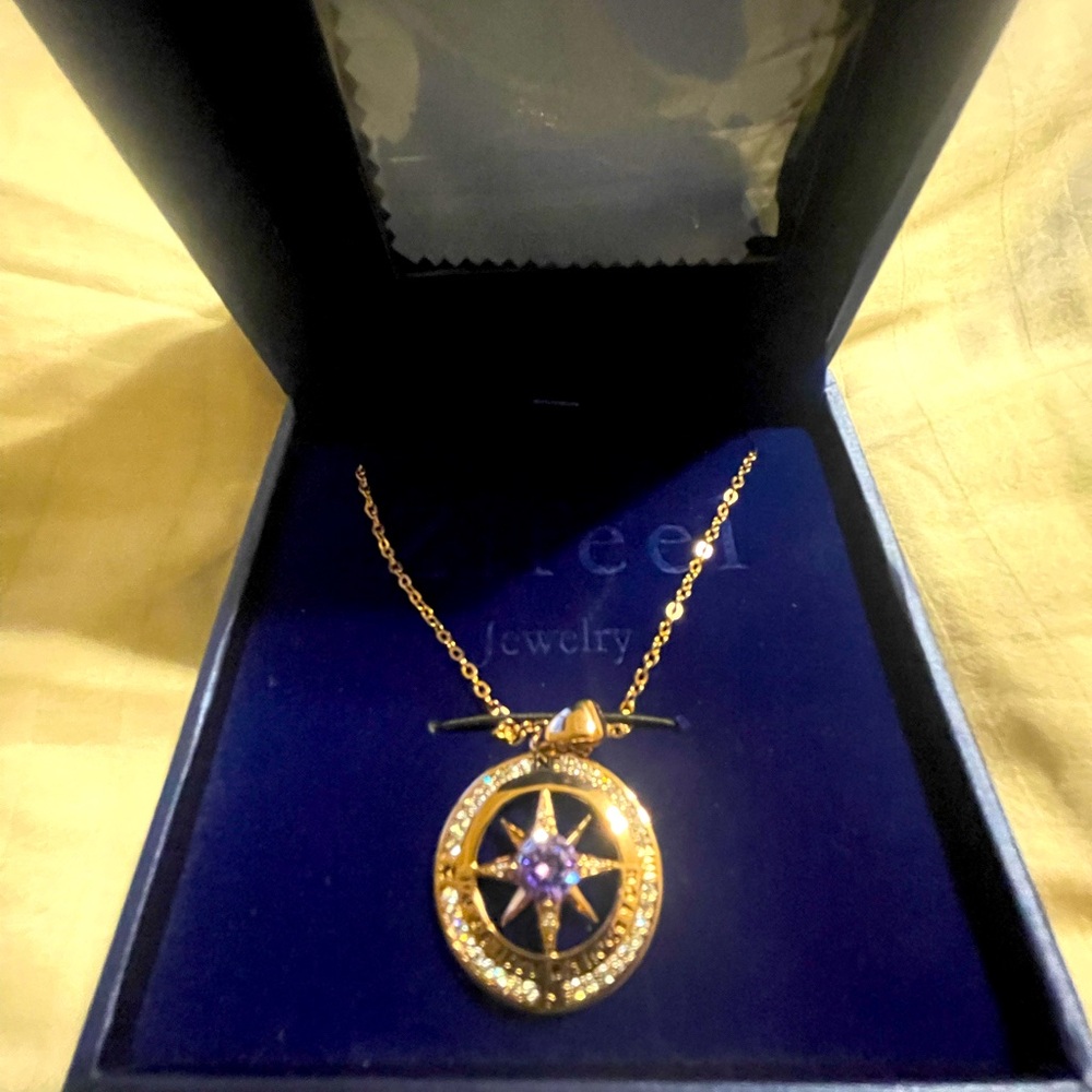 Compass Necklace Giftable -S925 Sterling Silver Purple Birthstone NWT